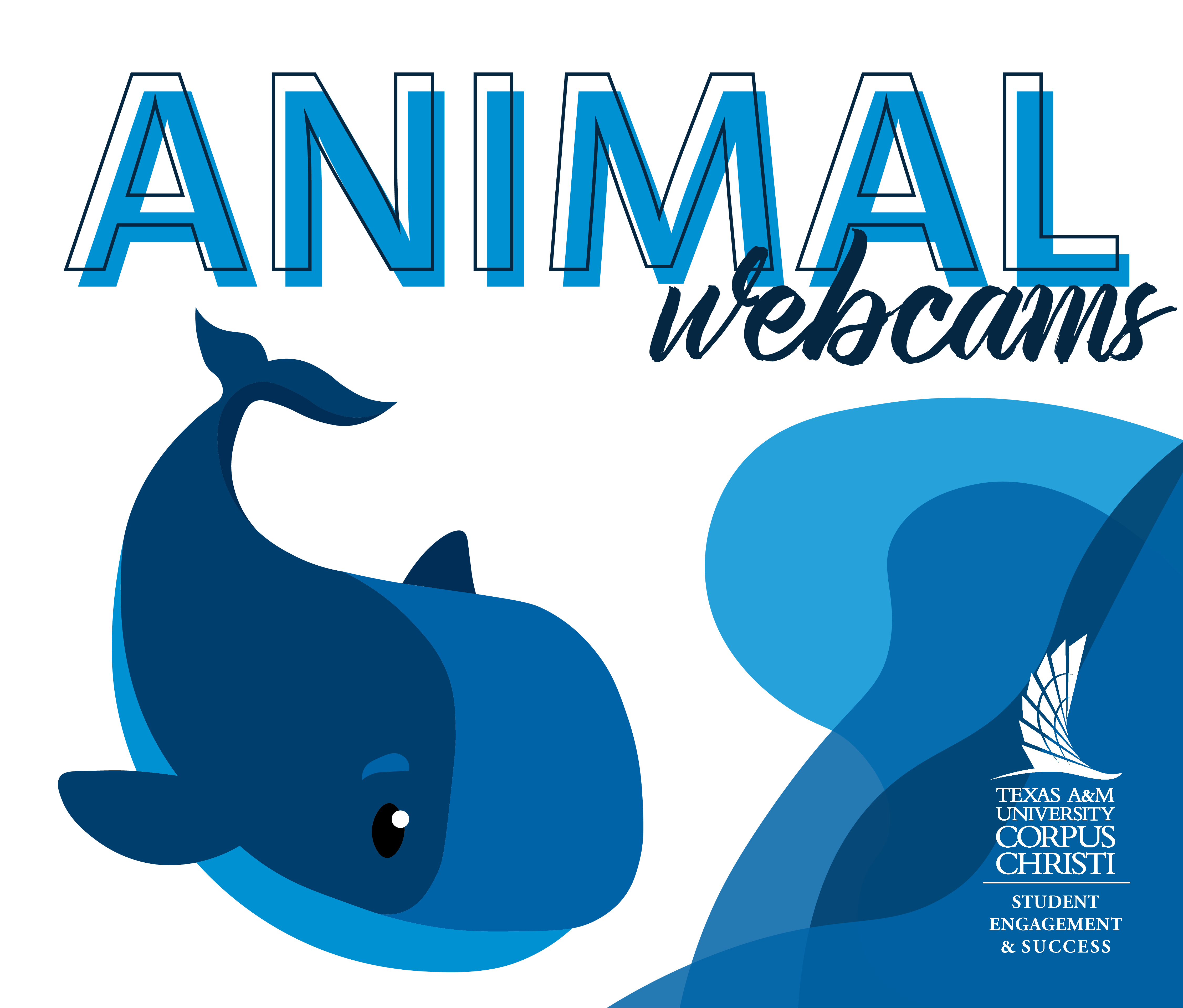 Zoo and aquarium animal webcams