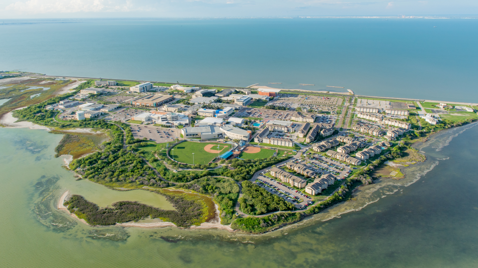 Aerial image