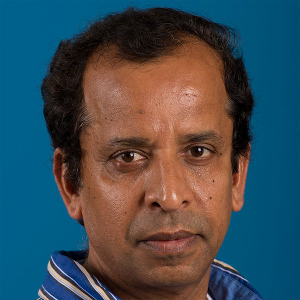 portrait of Devanayagam Palaniappan, Professor