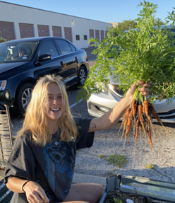 IGT Carrots