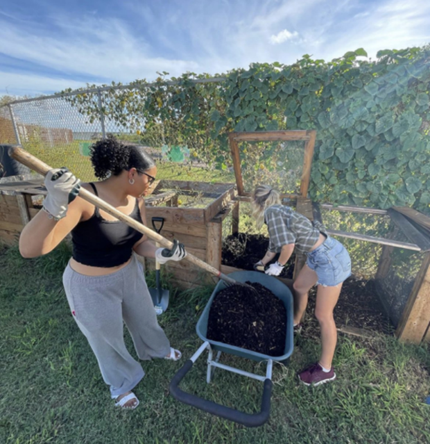IGT Wheel Barrel