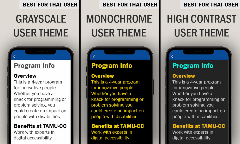 Three user theme examples for grayscale, monochrome, and high contrast, showing that the user's theme is the best theme for them, not the colors we choose on digital content.