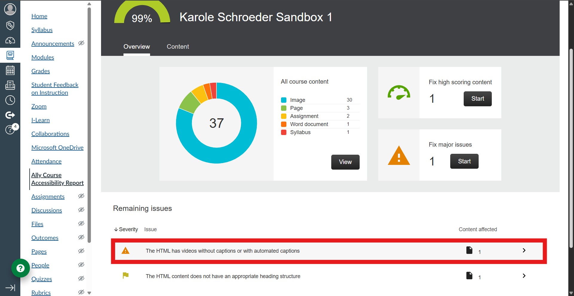 The closed captions access barrier is highlighted in a red rectangle on the list of Remaining issues in the Ally report