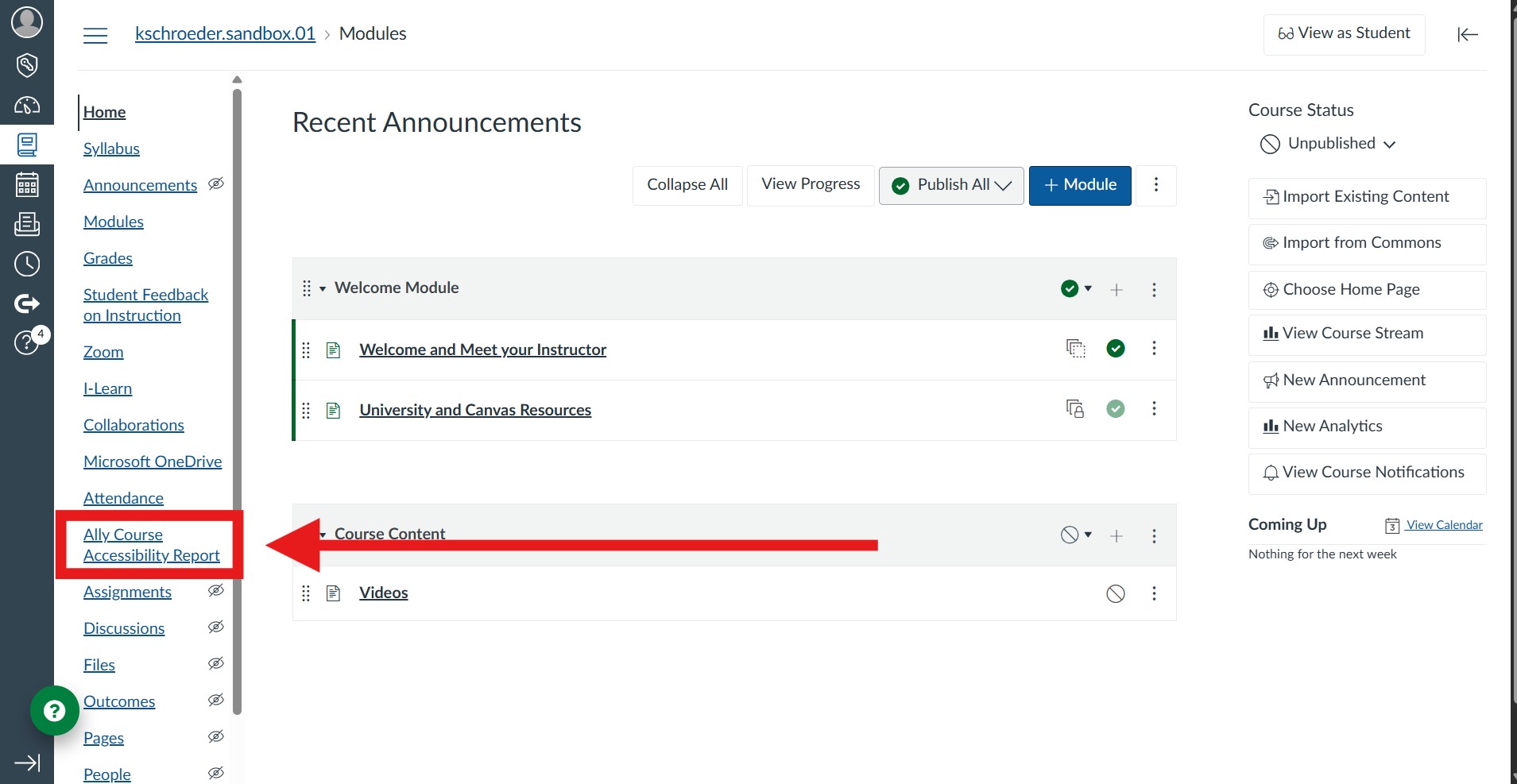 A red arrow points at the highlighted link in the left-hand menu for a Canvas course in the instructor's view: Ally Course Accessibility Report