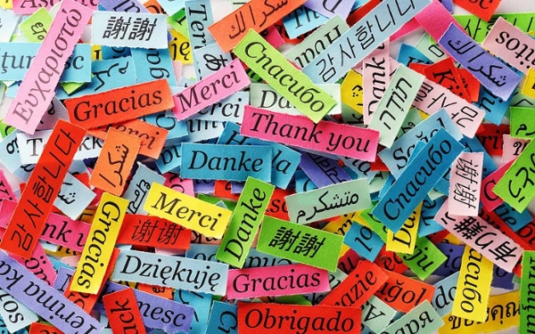 world language words on slips of colorful paper