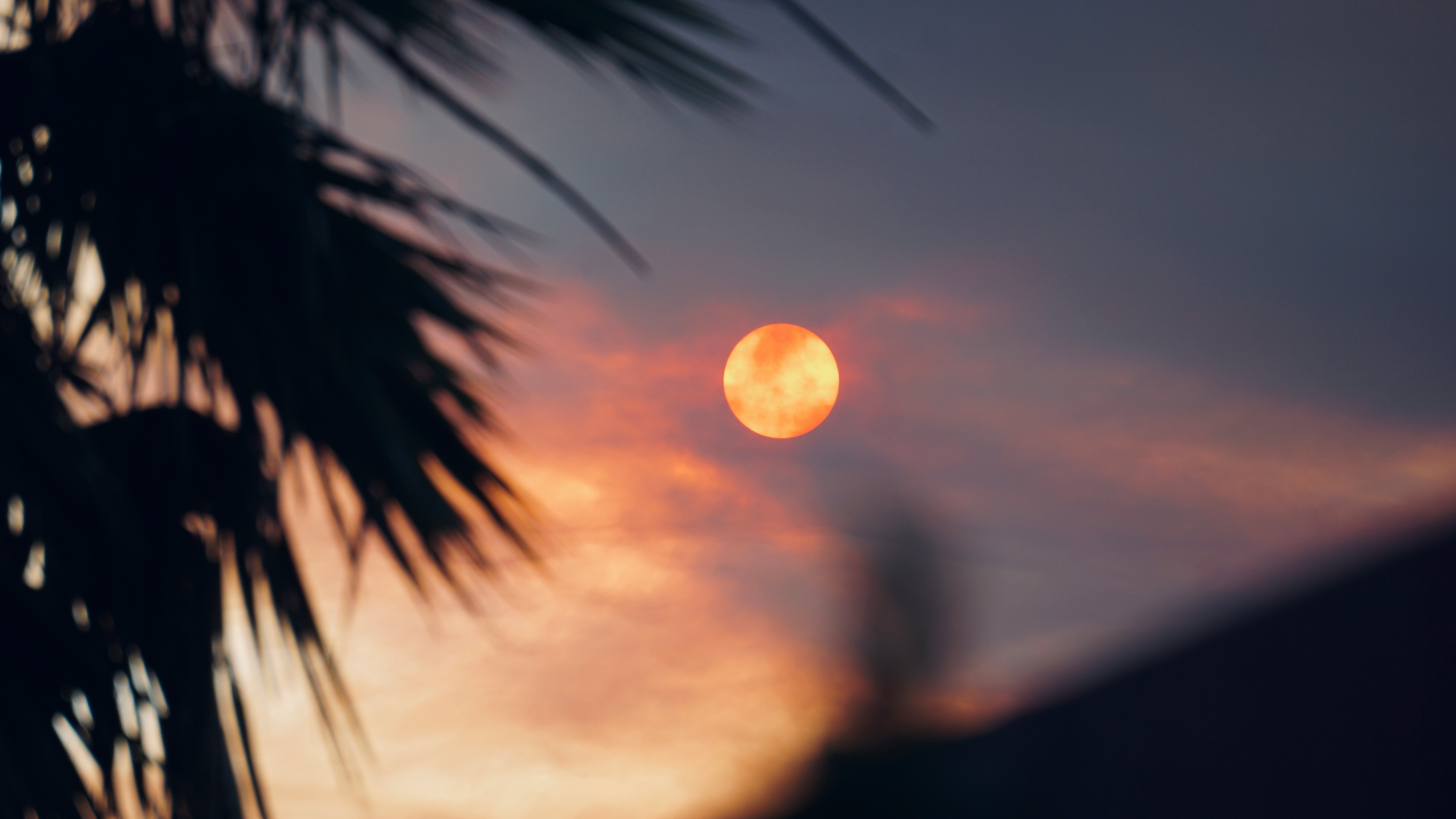 Stock photo of moon and sun in the bright sky by Edwin Onattu