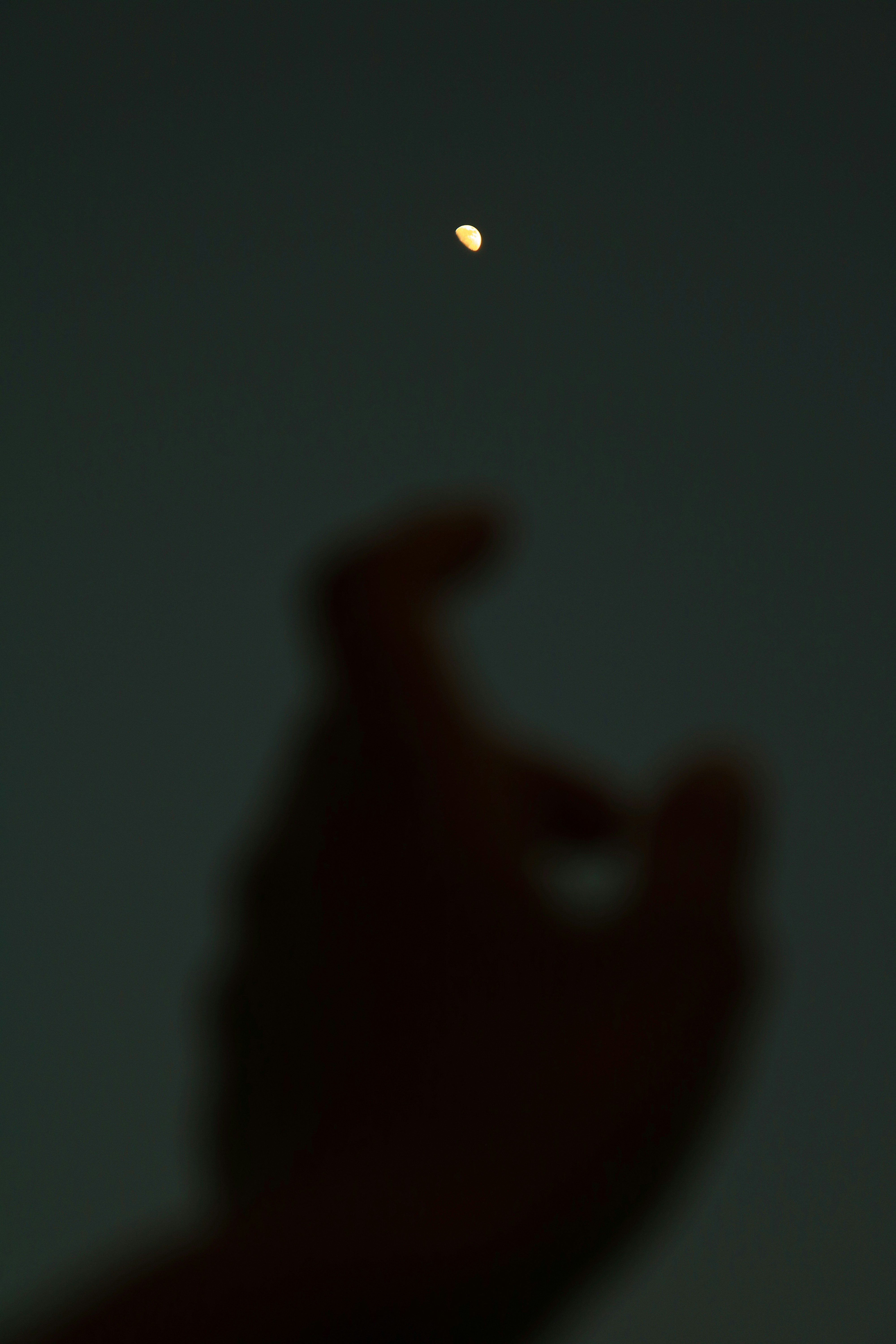 Moon stock photo by Teena Lalawat (Unsplash)