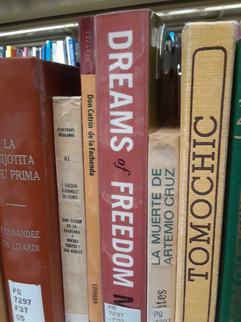 Dreams of Freedom book spine