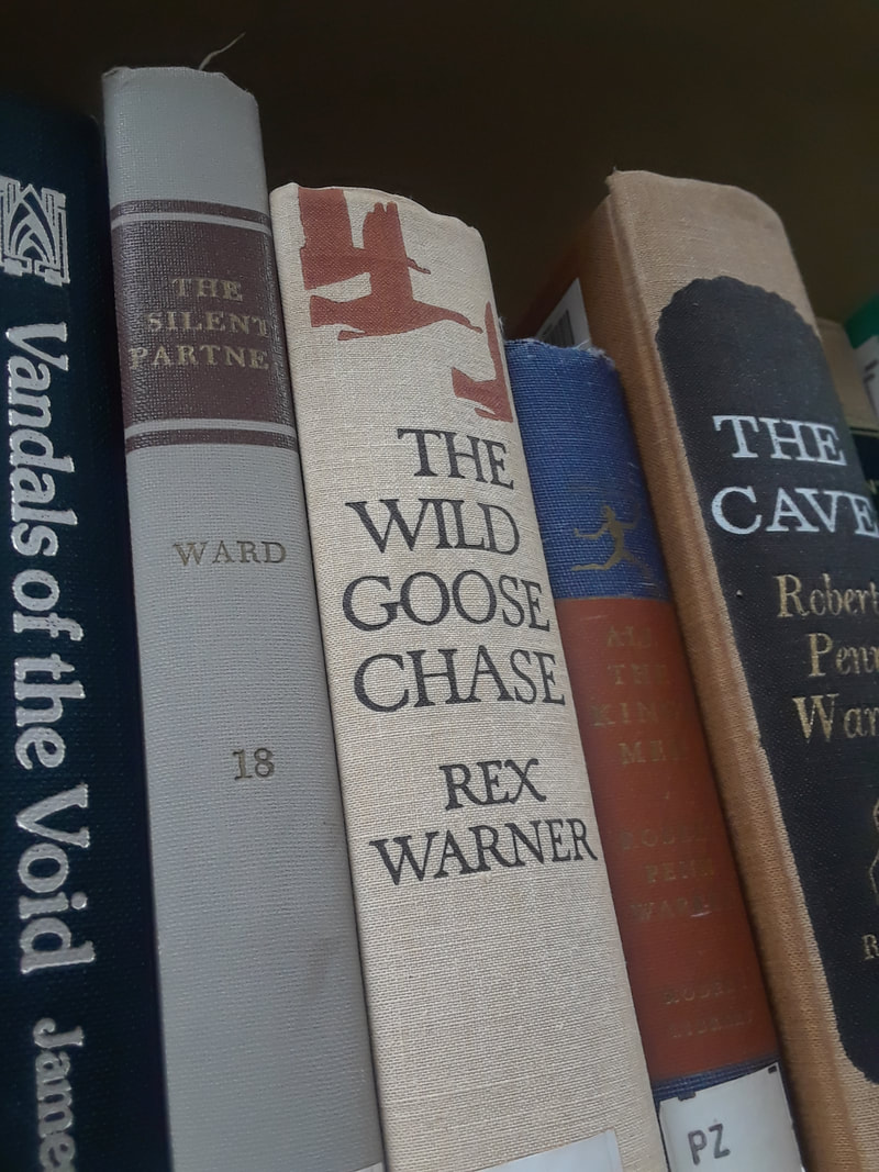 The Wild Goose Chase book spine