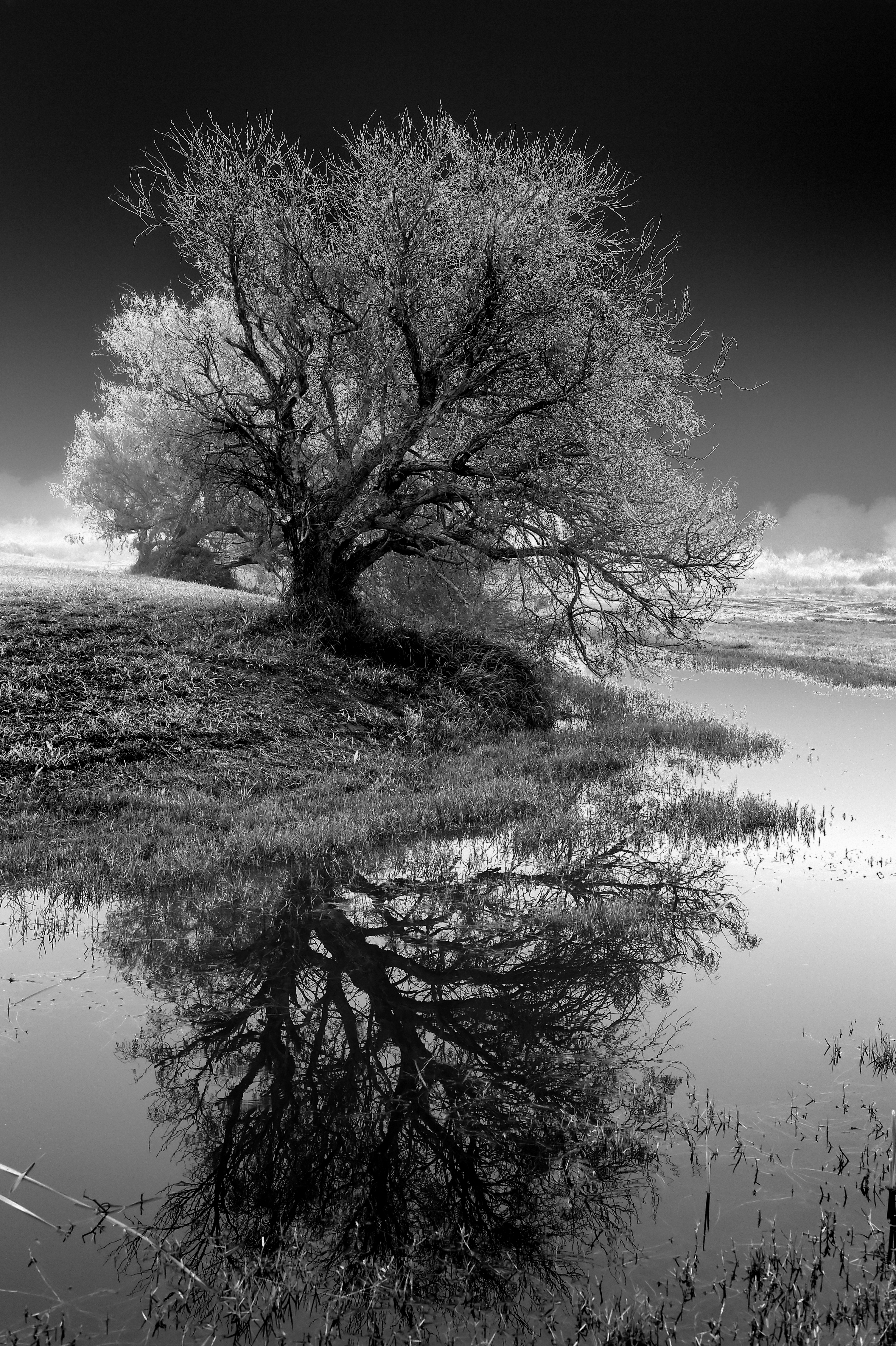 Vol. 21: Myths and Hauntings 