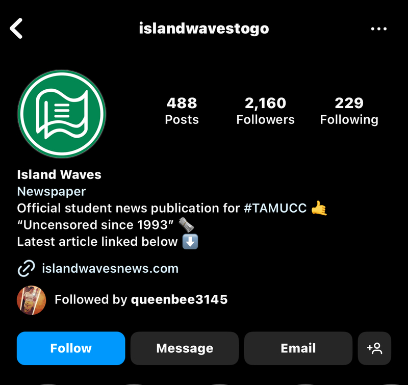 Island Waves - Instagram social media page (IslandWavesToGo)