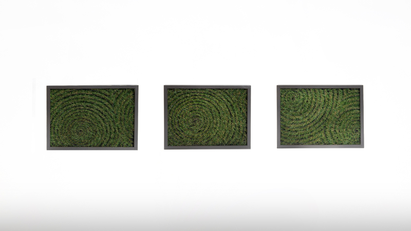 Three green grass in a circular pattern panels.