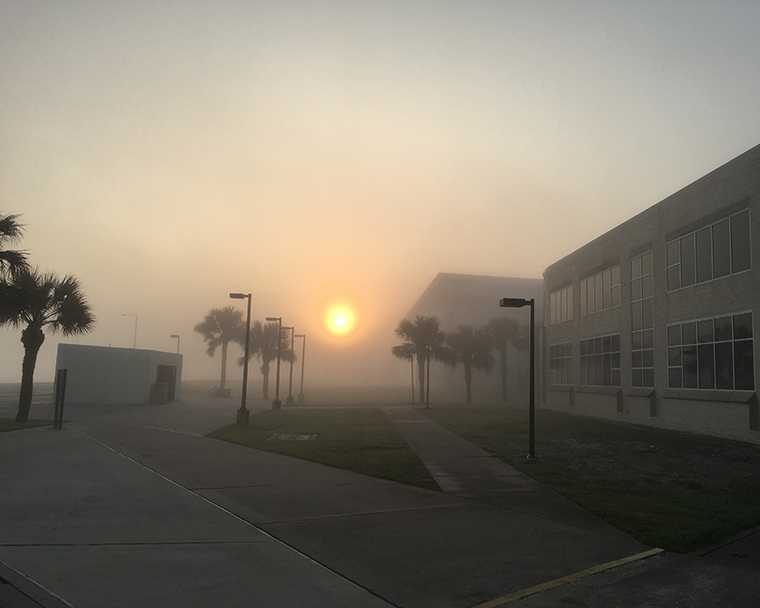 Color photograph of a foggy sunrise with sidewalks, buildings, and palm trees