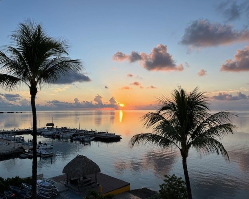 Sunset over a calm water body with silhouetted palm trees and a marina in the foreground.