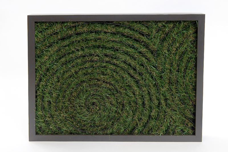 Green grass in a circular pattern, image 1.