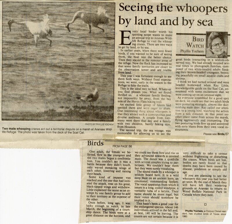 Article by Phyllis Yochem titled "Bird Watch.” Undated. Talks about seeing whooper cranes by sea and land.
