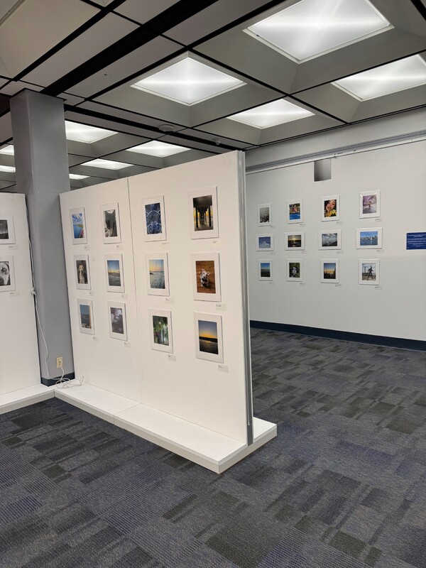 View of the Cell Phone Photography Show at the Mary and Jeff Bell Library in 2025