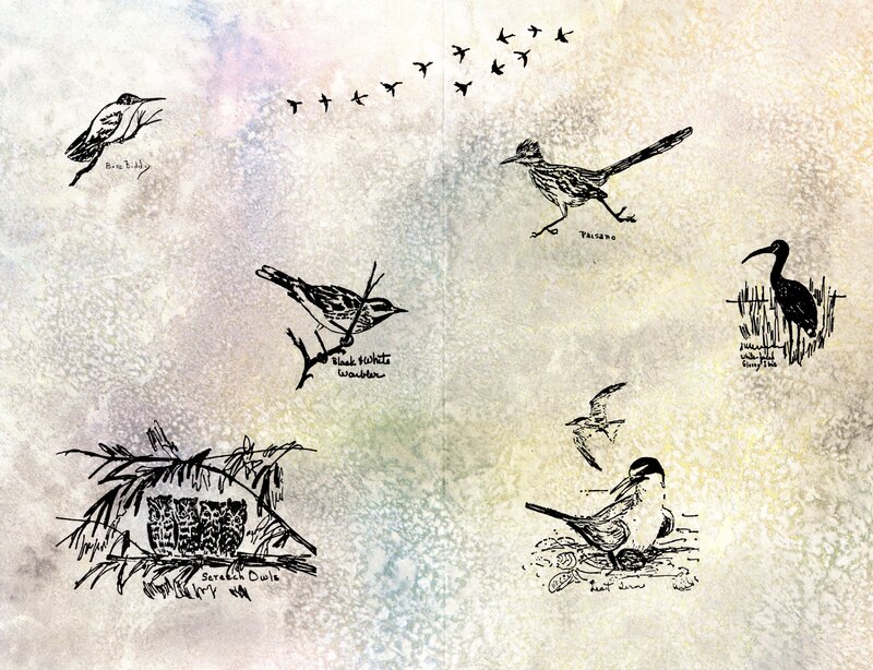 Black and white illustrations of several different birds spaced throughout the page. Background appears to be a pastel wash of color. 