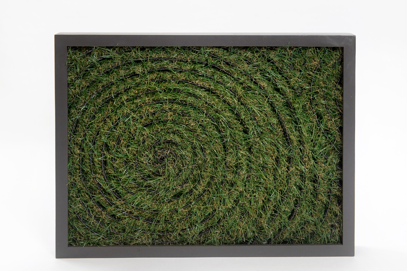 Green grass in a circular pattern, image 2.