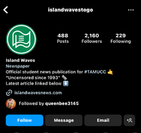 Island Waves - Instagram social media page (IslandWavesToGo)
