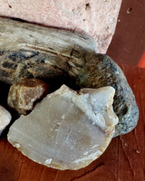 A variety of rocks and petrified wood are arranged on a dark wooden surface. 
