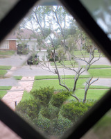 A front yard and street are visible through a beveled glass diamond shaped window. Manicured shrubs are planted under a small open tree. The green lawn can be seen on either side of the brick front walk. The street and the house and drive across the street are visible, with a dark truck parked in the driveway.