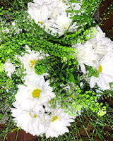 White flowers with yellow centers are arranged with bright green foliage. The image is brightly lit and the whole frame is filled with the floral arrangement.