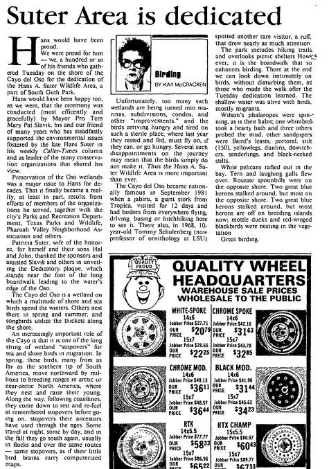 "Suter Area is Dedicated" · Birds of a Feather · Bell Library Exhibits