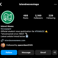 Island Waves - Instagram social media page (IslandWavesToGo)