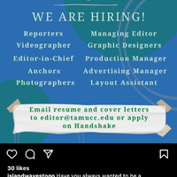 Island Wave - Social Media Job Call (reporters, Videographer, Editor-in-Chief, Anchors, Photographers, Managing Editor, Graphic Designer, Production Manager, Advertising Manager, Layout Assistant). 