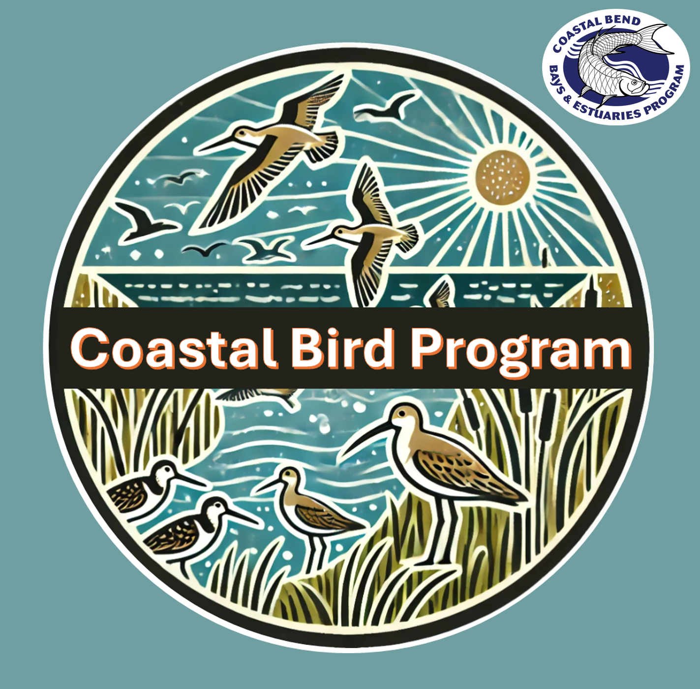 NRT Shorebirds Group logo