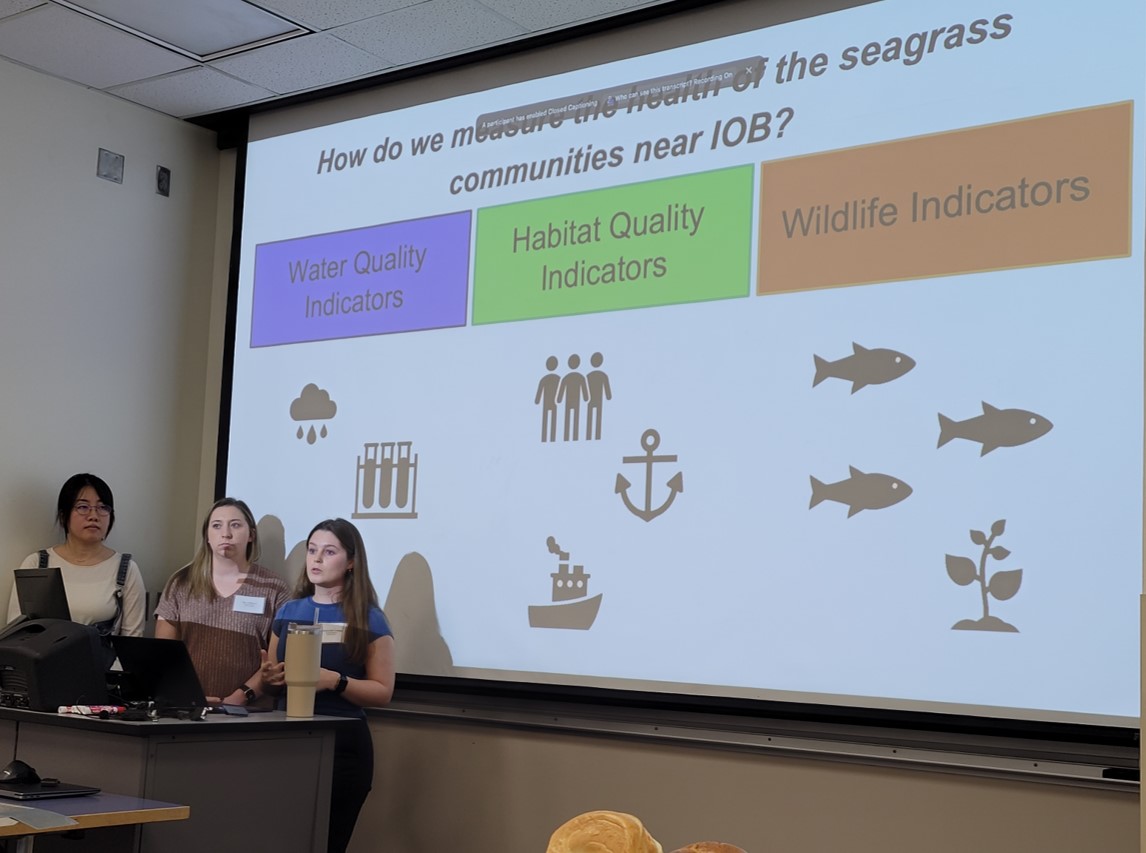 STAGES Seagrass Group presentation