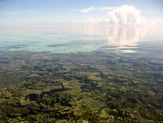 picture of a reef
