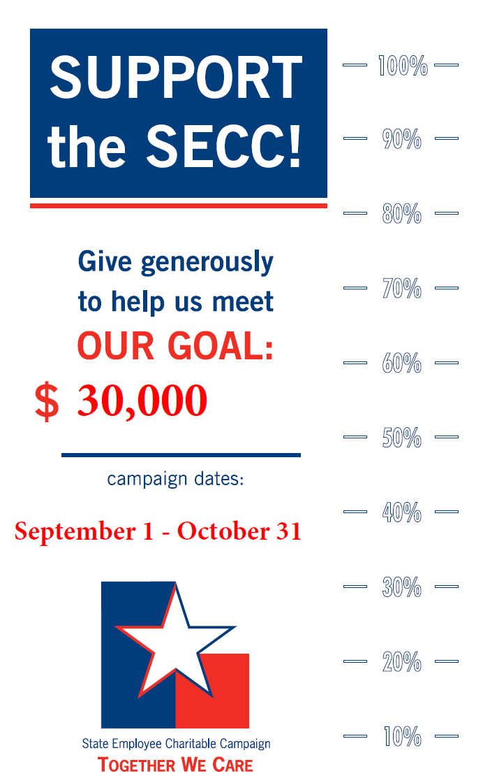 SECC Thermometer