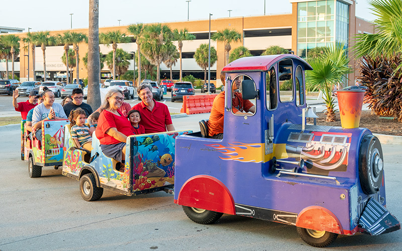 Enjoying the Islander Lights Train